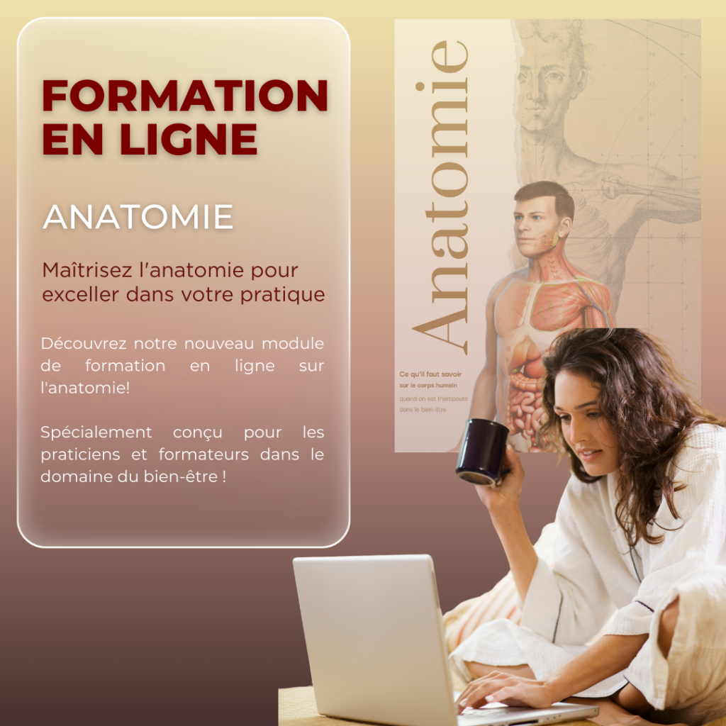 formation en ligne sur l'ANATOMIE